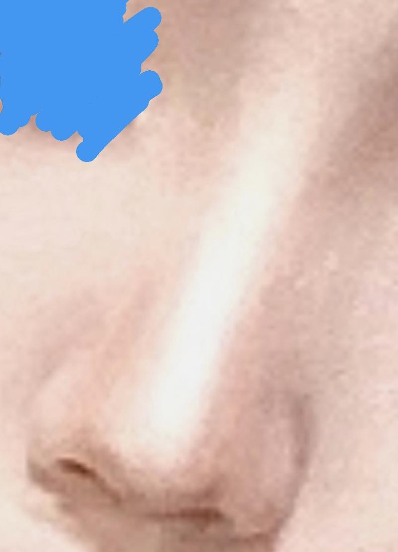 아 갑자기 생각난건데 어릴때 내 코에 신경끄고 살았는데 어떤 애가 내 코 크대서 ㅅㅂ 그 때 부터 쉐딩 오지게 하고 신경 쓰면서 사는 중 ㅋㅋㅋ