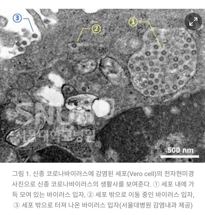 >>95 이게... 구분이 힘든가요...? 크기부터가ㅋㅋ