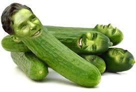 자 자 질좋은 오이가 많이 있어요 쌉니다 싸요!! 오이 요리는 어떠신가요?
