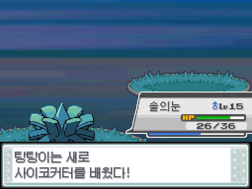 탕탕이는 미스트볼을 잊고, 사이코커터를 배웠다! 솔의눈은 544경험치를 얻었다! 솔의눈은 레벨 16으로 올랐다! 연가람은 30번도로의 모든 포켓