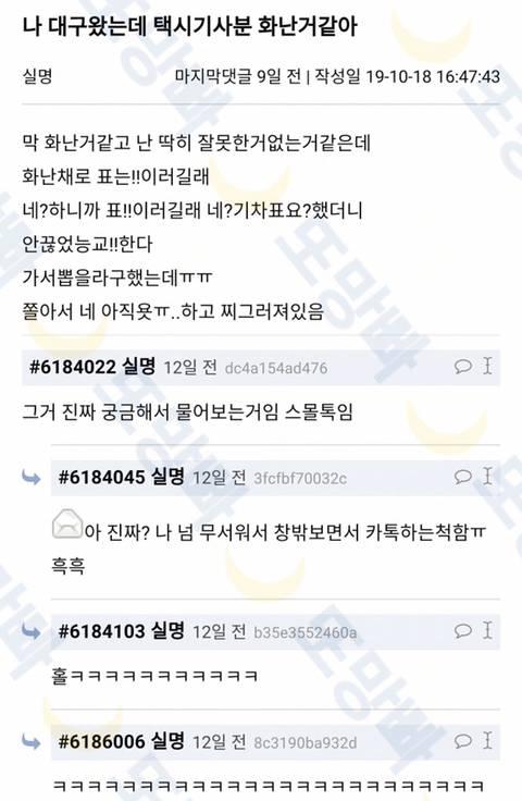 부산이 원래 말 쎈거로 알고있음 난 부산이 아니라 대구긴 하지만 경상도 말투는 이런 느낌으로 생각하면 돼 너 참 귀엽다는 뜻일걸