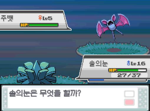 31번 도로에서 포켓몬과 만날 수 있는 횟수 최대 3회/현재 1회 31번 도로에서 트레이너와 배틀할 수 있는 횟수 최대 2회/현재 0회 31번