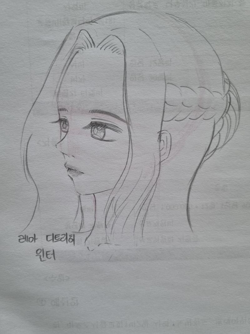 >>57 얍 이그네스는 불꽃 마법 쓰는 마검사 레아는 눈의 여왕 생각나서 비슷하게 그렸고 강시아는 저 헤어스타일부터 생각났어!