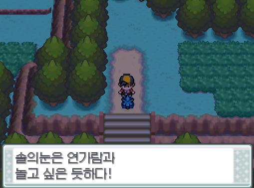 연가람은 탕탕이를 몬스터볼에 집어넣고, 솔의눈을 꺼냈다. 솔의눈은 연가람과 같이 놀고 싶어하는 듯 하다!