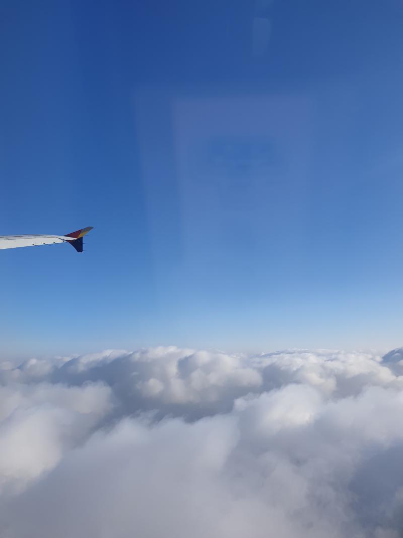 제주도 도착 눈누난나