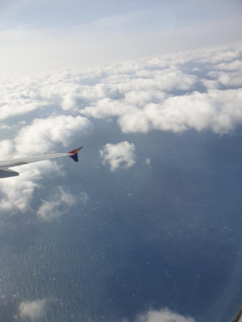 제주도 도착 눈누난나