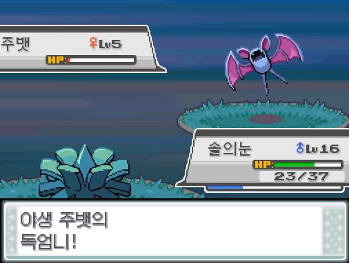 솔의눈의 박치기! 야생 주뱃의 독엄니! 솔의눈의 몸에 맹독이 퍼졌다! 솔의눈은 독에 의한 데미지를 입고 있다! 솔의눈은 무엇을 할까? >>282