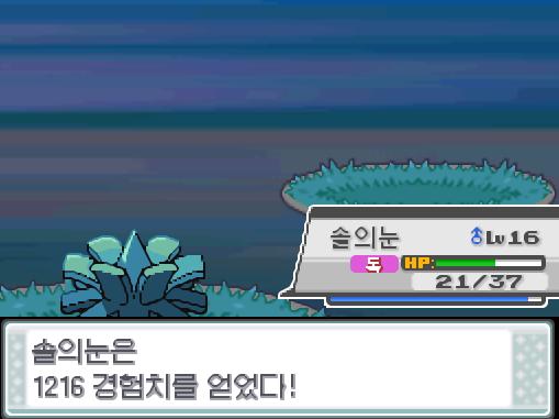 솔의눈의 벌레먹음! 효과가 별로인 듯하다. 야생 주뱃은 쓰러졌다. 솔의눈은 1216 경험치를 얻었다! 솔의눈은 레벨 17로 올랐다! 솔릐눈은 새