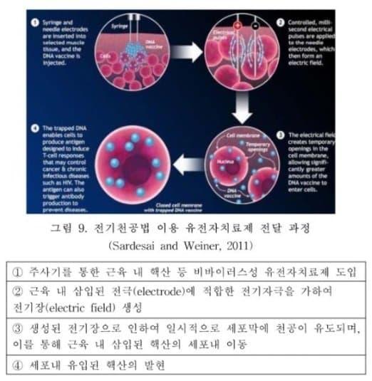 바이러스성 쉐딩. 2. 스파이크 단백질. 백신 접종은 스파이크 단백질을 생성합니다.