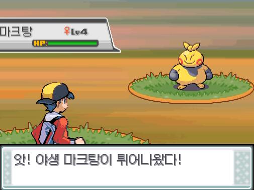 31번 도로에서 포켓몬과 만날 수 있는 횟수 최대 3회/현재 2회 31번 도로에서 트레이너와 배틀할 수 있는 횟수 최대 2회/현재 0회 31번