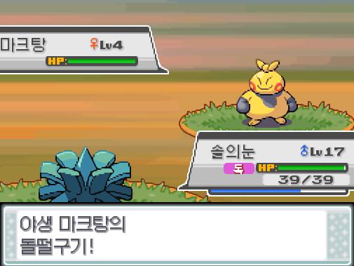 솔의눈은 HP회복을 썼다! 솔의눈은 체력을 회복했다! 야생 마크탕의 돌떨구기! 효과가 굉장했다! 솔의눈은 독에 의한 데미지를 입었다! 이제 솔의