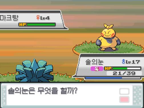 31번 도로에서 포켓몬과 만날 수 있는 횟수 최대 3회/현재 2회 31번 도로에서 트레이너와 배틀할 수 있는 횟수 최대 2회/현재 0회 31번