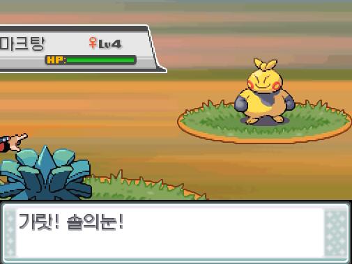 31번 도로에서 포켓몬과 만날 수 있는 횟수 최대 3회/현재 2회 31번 도로에서 트레이너와 배틀할 수 있는 횟수 최대 2회/현재 0회 31번