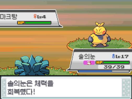 솔의눈은 HP회복을 썼다! 솔의눈은 체력을 회복했다! 야생 마크탕의 돌떨구기! 효과가 굉장했다! 솔의눈은 독에 의한 데미지를 입었다! 이제 솔의