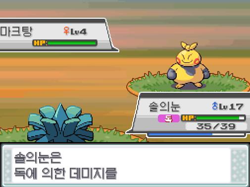 솔의눈은 HP회복을 썼다! 솔의눈은 체력을 회복했다! 야생 마크탕의 돌떨구기! 효과가 굉장했다! 솔의눈은 독에 의한 데미지를 입었다! 이제 솔의