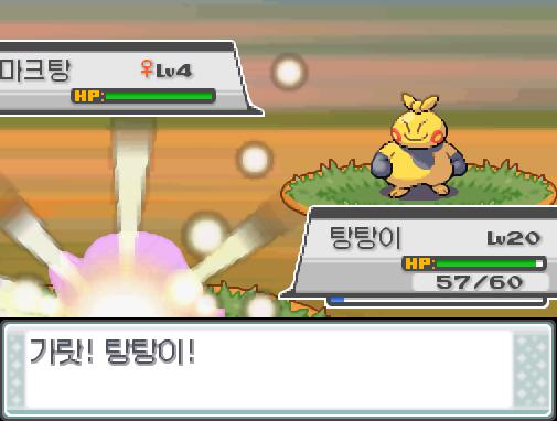 솔의눈 교대! 돌아와! 가랏! 탕탕이! 야생 마크탕은 벌크업 했다! 야생 마크탕의 공격과 방어가 올라갔다! 탕탕이는 무엇을 할까? >>293 싸