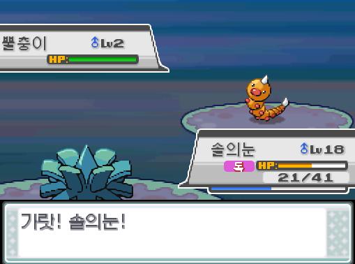규토리나무 근처에서 곤충채집소년이 연가람에게 다가왔다. "잔뜩 포켓몬을 잡았어. 잠깐 승부해줘!" 곤충채집소년 광일이 승부를 걸어왔다! 31번