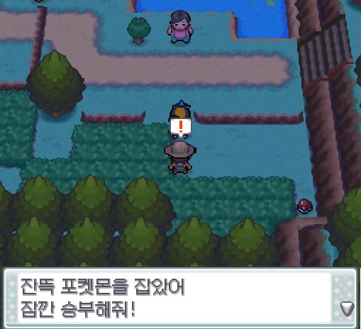 규토리나무 근처에서 곤충채집소년이 연가람에게 다가왔다. "잔뜩 포켓몬을 잡았어. 잠깐 승부해줘!" 곤충채집소년 광일이 승부를 걸어왔다! 31번
