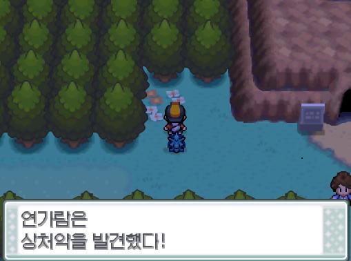 싸움이 끝난 후 솔의눈에게 말을 걸어보았다. 솔의눈은 독에 부들부들 떨고 있다... 31번도로를 계속 걷던 연가람은 어둠의 동굴을 발견했다. 어