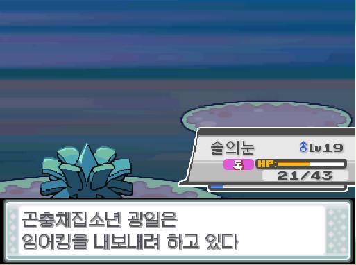 솔의눈의 박치기! 상대 뿔충이는 쓰러졌다! 솔의눈은 672 경험치를 얻었다! 솔의눈은 레벨 19로 올랐다! 솔의눈은 독에 의한 데미지를 입고 있