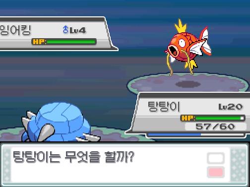 솔의눈 교대! 돌아와! 가랏! 탕탕이! 곤충채집소년 광일은 잉어킹을 내보냈다! 탕탕이는 무엇을 할까? >>301 싸운다: 강철날개25/얼다바람1