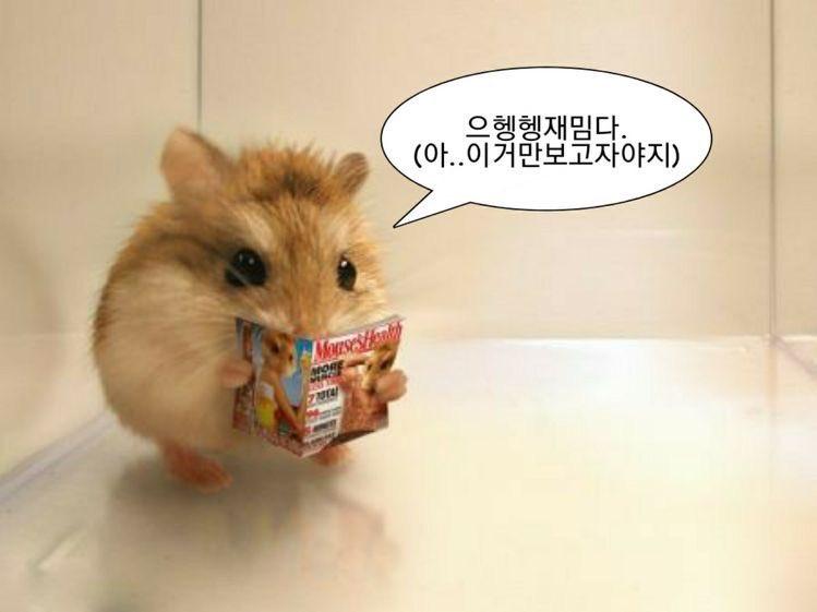 나에 일상..... 맨날 새벽 세시에 잠 미쳤지 내가