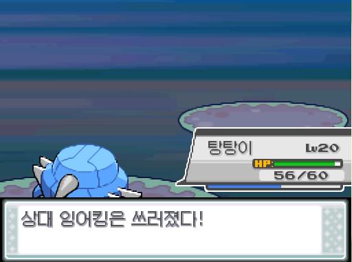 31번 도로에서 포켓몬과 만날 수 있는 횟수 최대 3회/현재 2회 31번 도로에서 트레이너와 배틀할 수 있는 횟수 최대 2회/현재 1회 31번
