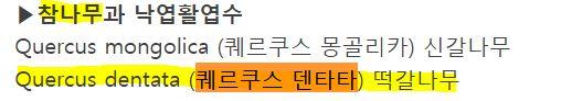 다음 문구를 읽고, 신의 노여움을 산 자의 이름을 말하라. 퀘르쿠스 덴타타, 9008-02-0, ercsu 지천의 스데반을 가엾게 여기소서. 브