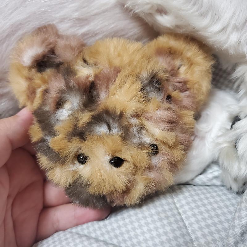 오랜만이지! 배경은.강아지 ㅎ