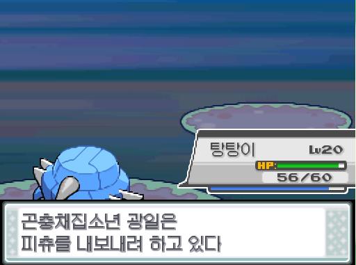 31번 도로에서 포켓몬과 만날 수 있는 횟수 최대 3회/현재 2회 31번 도로에서 트레이너와 배틀할 수 있는 횟수 최대 2회/현재 1회 31번