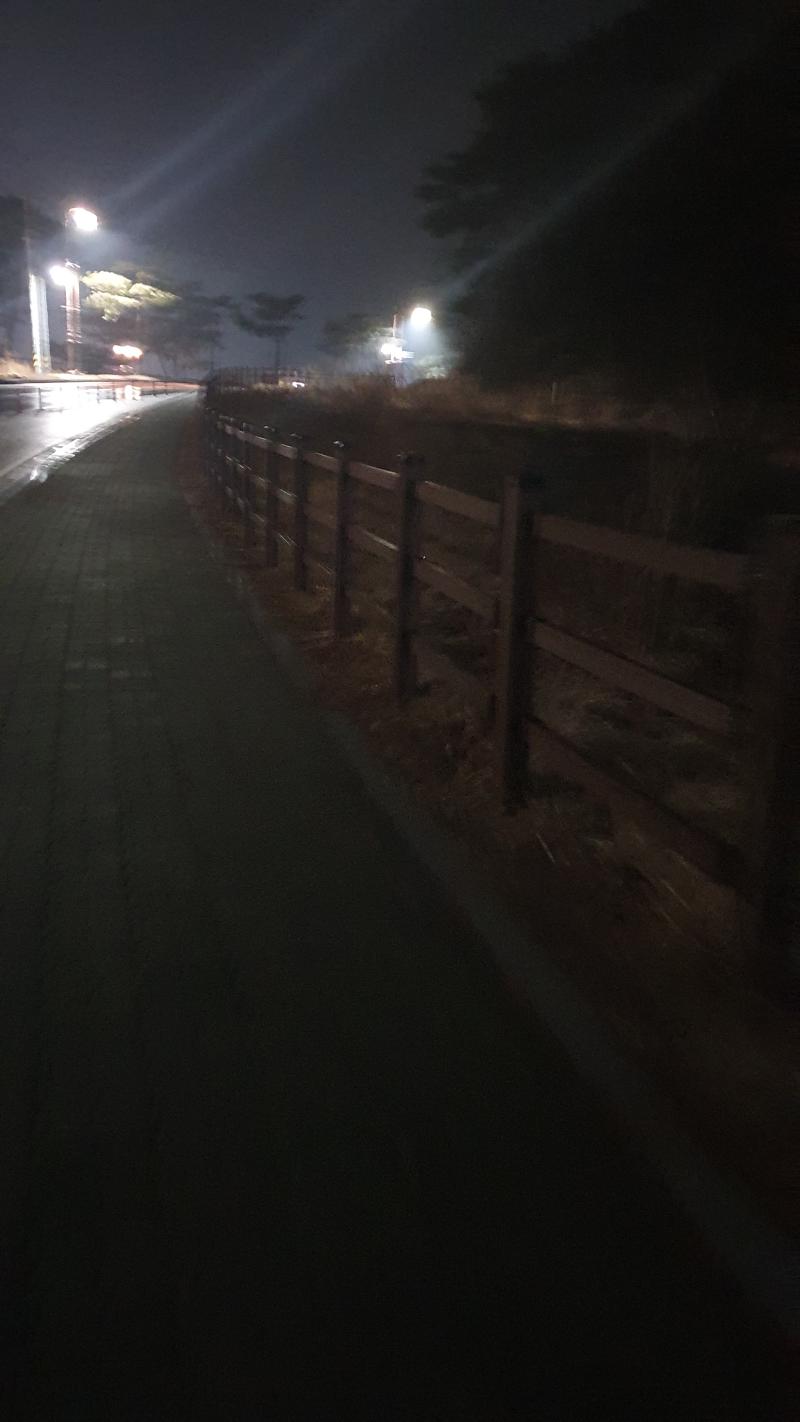 비오는날 밤 좋아 사람도 없고 시원하고
