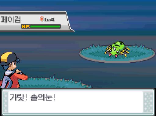 31번 도로에서 포켓몬과 만날 수 있는 횟수 최대 3회/현재 3회 31번 도로에서 트레이너와 배틀할 수 있는 횟수 최대 2회/현재 1회 31번