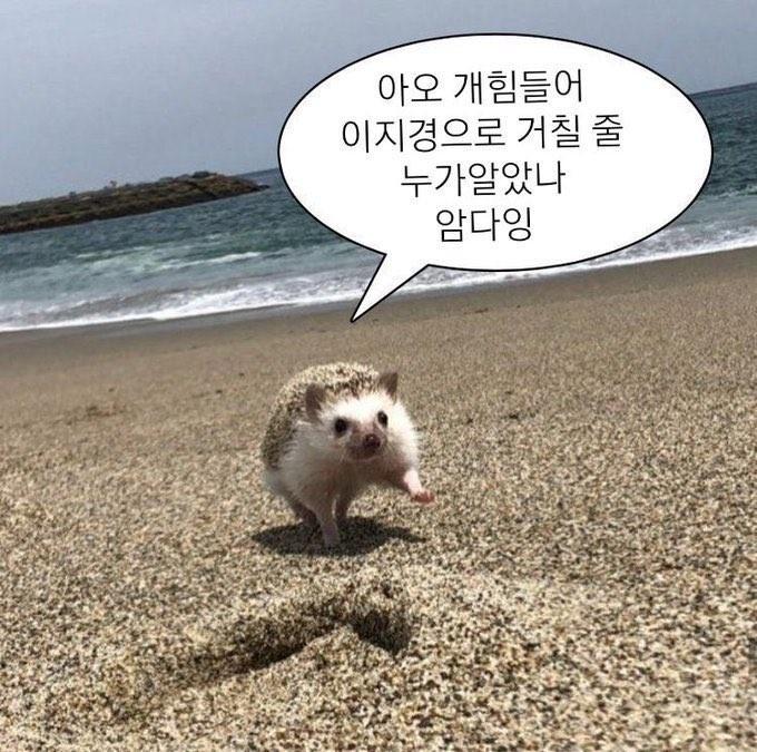 야진짜오늘많은일이있었다너무힘들다진짜암다잉 근데뭐한건없고그냥힘들었음원래인생이그런거아니겠냐며지친심신을자가회복해봄 이거보는사람들아너네는수호령이진짜있다