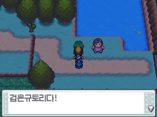 연가람은 근처에 떨어진 몬스터볼과 검은규토리를 가방에 챙겼다.