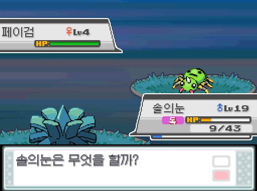 31번 도로에서 포켓몬과 만날 수 있는 횟수 최대 3회/현재 3회 31번 도로에서 트레이너와 배틀할 수 있는 횟수 최대 2회/현재 1회 31번