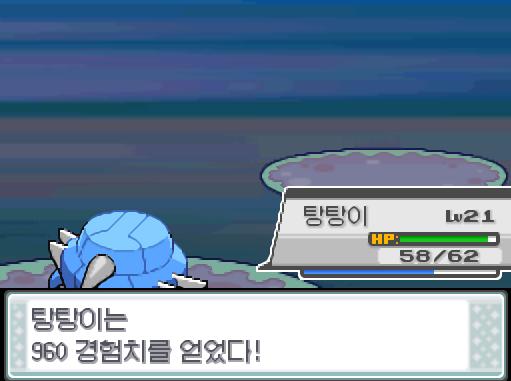 탕탕이의 강철날개! 상대 실쿤은 쓰러졌다! 탕탕이는 960 경험치를 얻었다! 곤충채집소년 광일과의 승부에서 이겼다! "뭐야-" 연가람은 상금으로