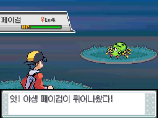 31번 도로에서 포켓몬과 만날 수 있는 횟수 최대 3회/현재 3회 31번 도로에서 트레이너와 배틀할 수 있는 횟수 최대 2회/현재 1회 31번