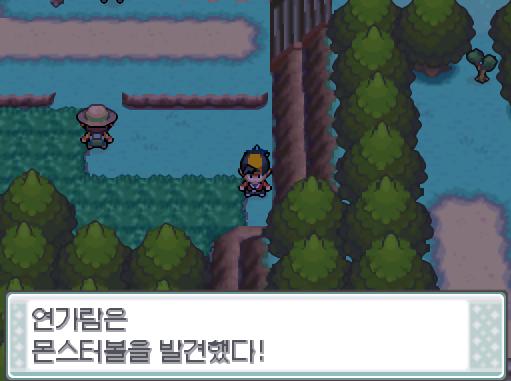 연가람은 근처에 떨어진 몬스터볼과 검은규토리를 가방에 챙겼다.