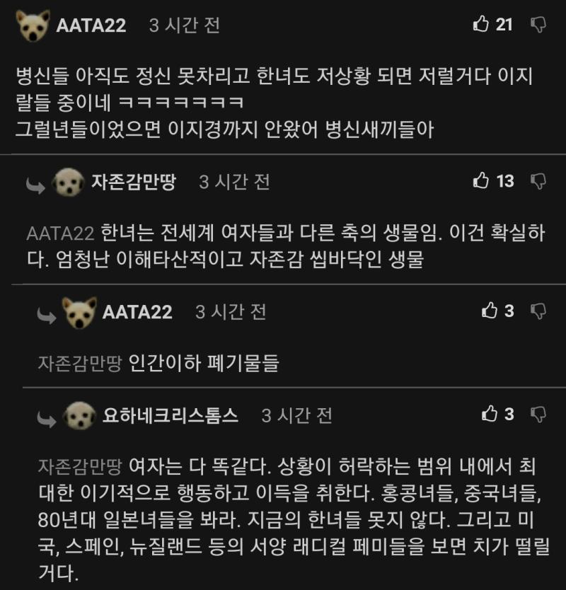 나는 전쟁 돌아가는 상황좀 보려고 킨건데 이런 댓이 왤케 많냐 귀찮아서 닉 안가렷으니 ㄹㅇㅋㅋ만 치자 커뮤인생 참 귀찮다
