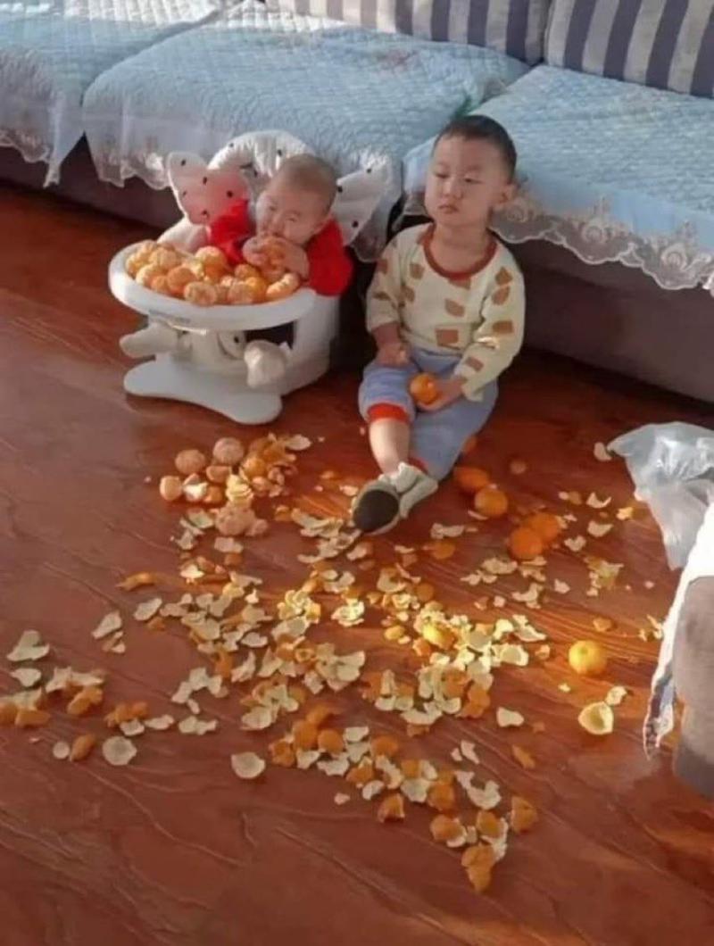 귤형제