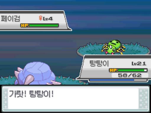 돌아와! 솔의눈! 가랏! 탕탕이! 상대 페이검의 독엄니! 탕탕이에게는 효과가 없는 것 같다. 탕탕이는 무엇을 할까? >>318 싸운다: 강철날개