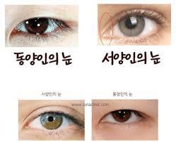 비교적으로 동서앙인 눈으로 비교하면 편해 물론 동양인 눈을 서양인 눈만큼 틔게 만드는 건 어려우니 감안은 해주고 눈이 트이면 점막도 많이 보임 