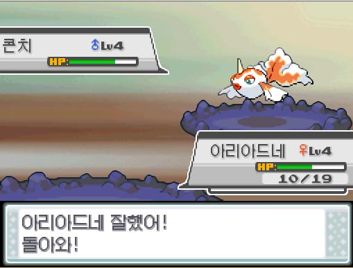 아리아드네 잘했어! 돌아와! 널 믿어! 탕탕이! 상대 콘치의 거품광선! 급소에 맞았다! 탕탕이는 무엇을 할까? >>338 싸운다: 강철날개25/
