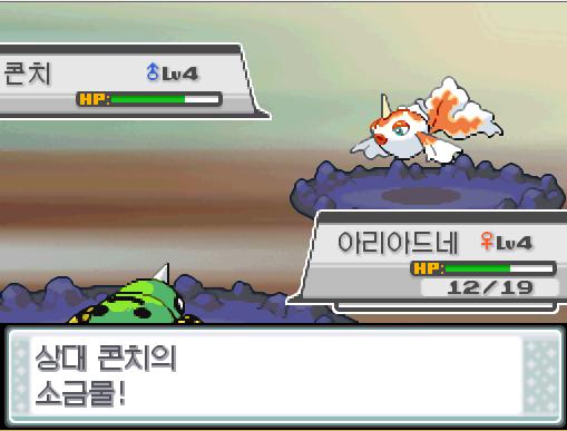모다피의 탑에서 포켓몬과 만날 수 있는 횟수 최대 3회/현재 0회 모다피의 탑에서 트레이너와 배틀할 수 있는 횟수 최대 2회/현재 1회 (특별한