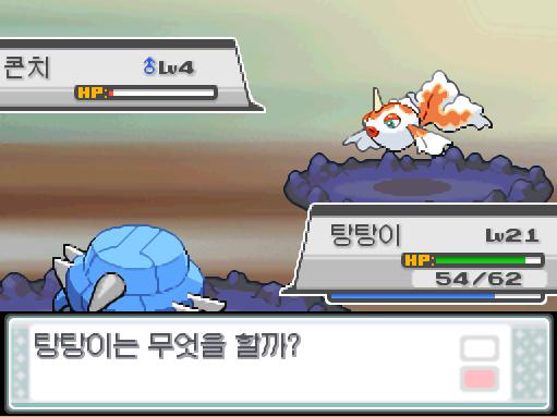 탕탕이의 얼다바람! 효과가 별로인 듯하다. 상대 콘치의 스피드가 떨어졌다! 상대 콘치의 거품광선! 급소에 맞았다! 탕탕이는 무엇을 할까? >>3