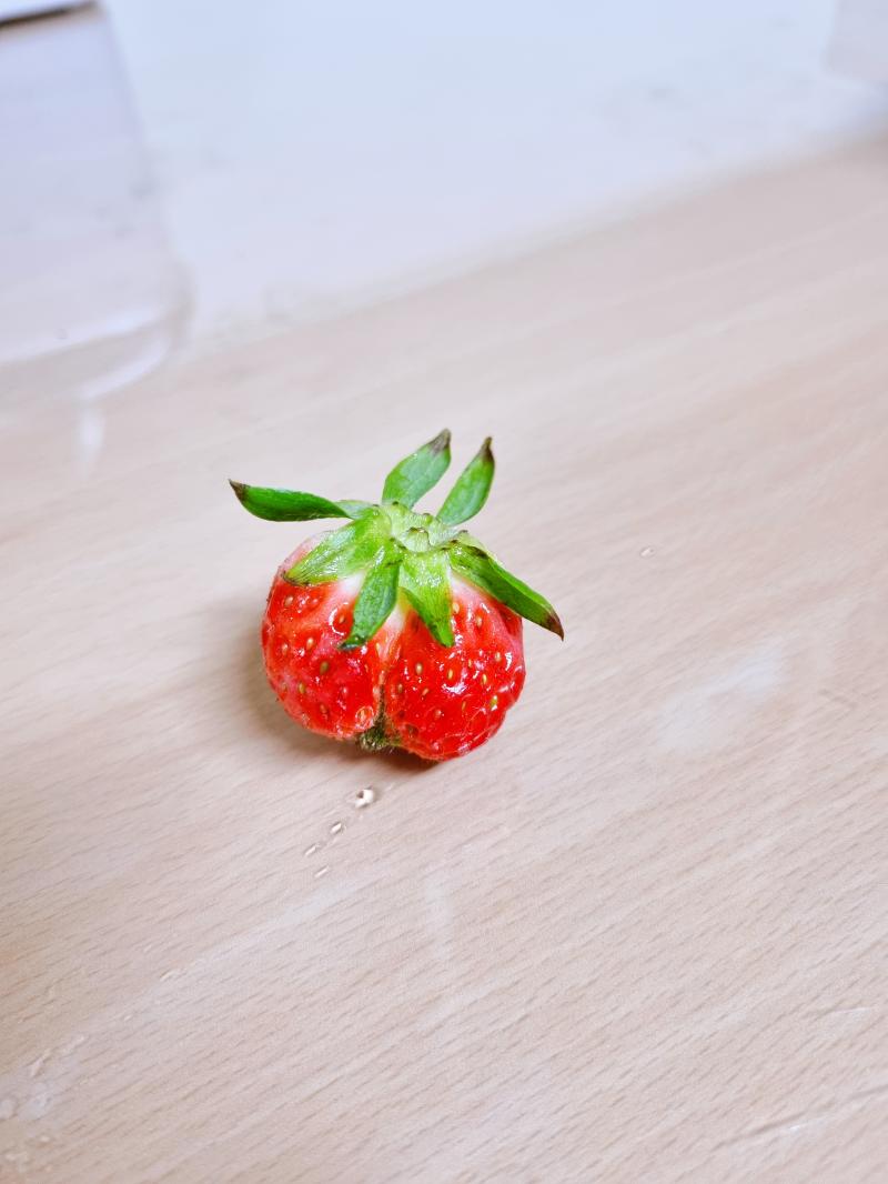 감히 딸기 주제에 엉덩이처럼 생긴 죄로 공개 풀칠형에 처한다