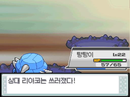 탕탕이의 사이코커터! 상대 리아코는 쓰러졌다! 탕탕이는 1776 경험치를 얻었다! 탕탕이는 레벨 23으로 올랐다!