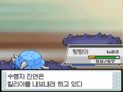모다피의 탑에서 포켓몬과 만날 수 있는 횟수 최대 3회/현재 0회 모다피의 탑에서 트레이너와 배틀할 수 있는 횟수 최대 2회/현재 1회 (특별한