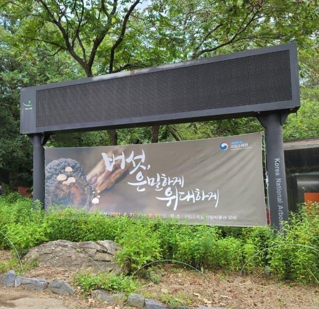 난 버섯갤 좋아해 같이 버섯 하자🍄 여기도 재미있어 주딱이 버섯 관람회 비스무리 한 것도 열었었어