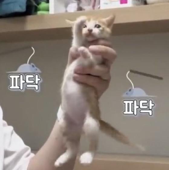 다들 잘 자 좋은 꿈 꿔